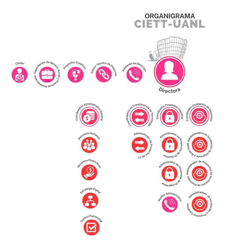 ORGANIGRAMA CIETT